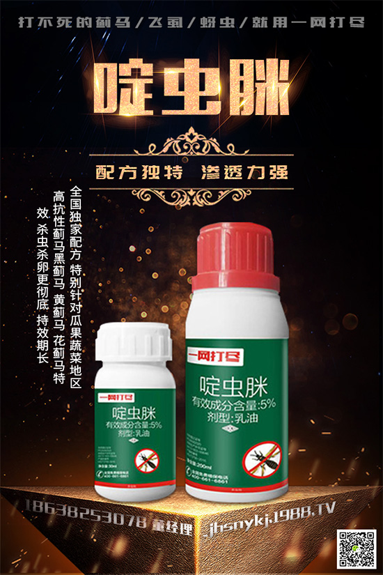 白粉虱對辣椒有什么危害?辣椒白粉虱怎樣防治好?