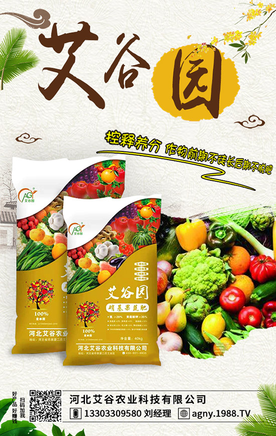 蘋果樹施肥不當遭肥害!專家教你如何預(yù)防肥害!