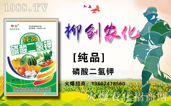 邵陽(yáng)柳創(chuàng)農(nóng)化有限公司