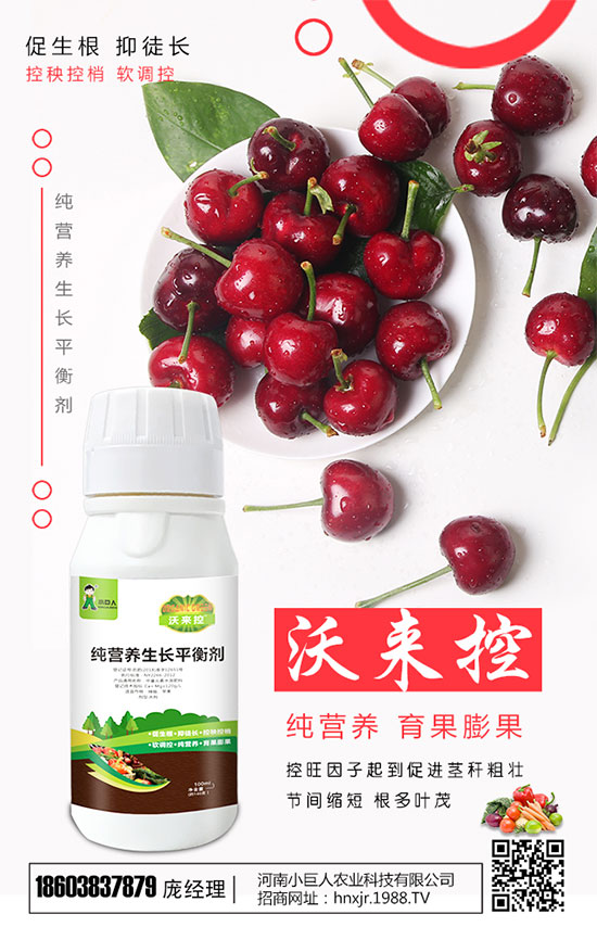 扁豆的品種有哪些?扁豆的生長(zhǎng)習(xí)性及種植時(shí)間!