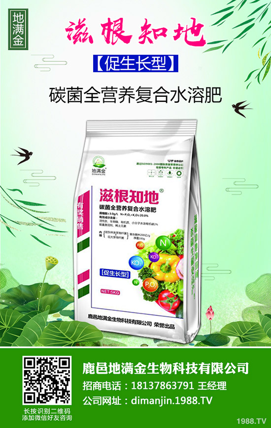 供需錯配才是尿素漲價的原因?2020-3-6近期最新尿素行情走勢!