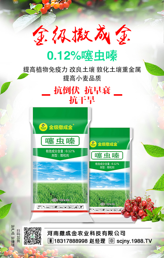 白菜畝產(chǎn)產(chǎn)量高,施肥方法有哪些?