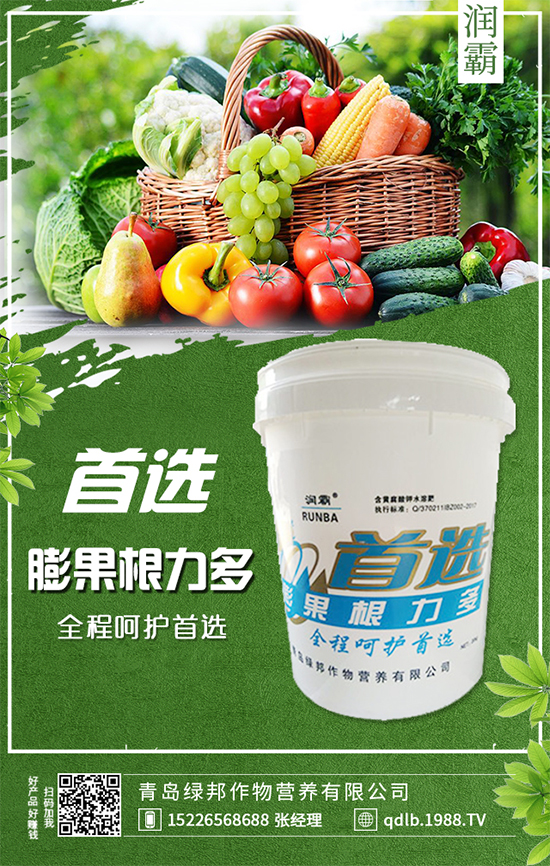 萬年青插桿及播種要點,室內(nèi)萬年青種植注意事項!