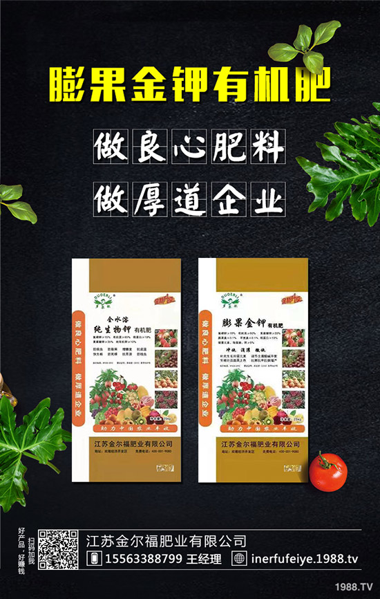 早春辣椒如何栽培高產(chǎn)?早春辣椒種植技術(shù)!