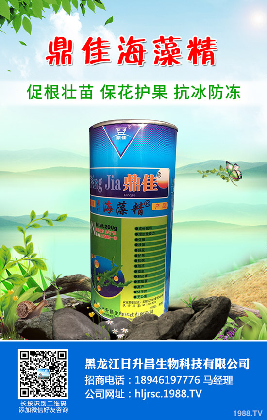 辣椒怎么育苗產(chǎn)量好,辣椒育苗技術(shù)要點!