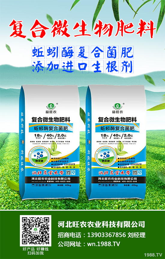 大棚香椿怎么栽培?大棚香椿高產(chǎn)栽培技術(shù)