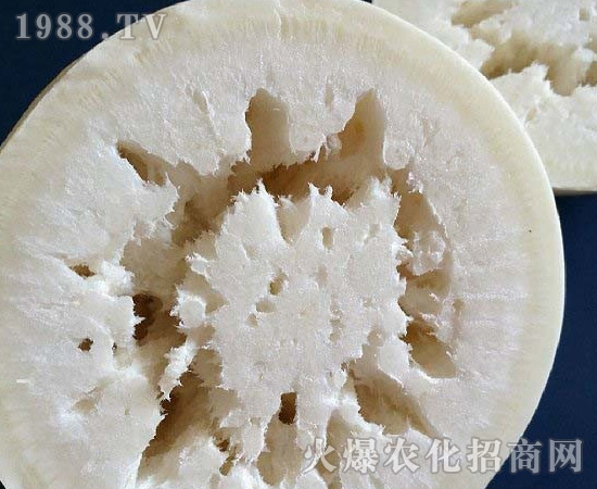 蘿卜糠心病