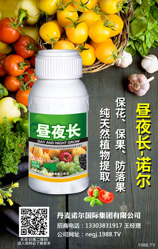 洋蔥如何科學(xué)施肥?洋蔥施肥方法看這里!