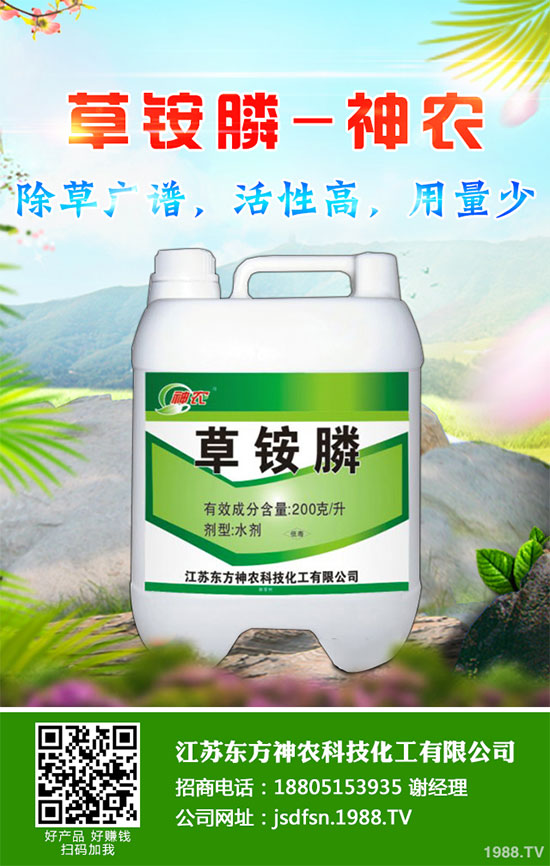 蒲公英種植如何實現(xiàn)高產(chǎn)?種植蒲公英效益如何呢?