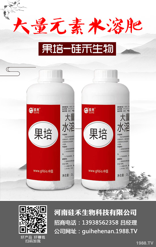 南瓜種植管理都有哪些方法?南瓜如何科學管理?