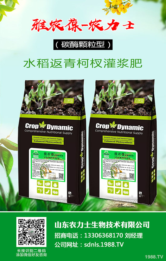 原料價格波動!復(fù)合肥成交受挫!2020年4月14日最新復(fù)合肥行情走勢分析: