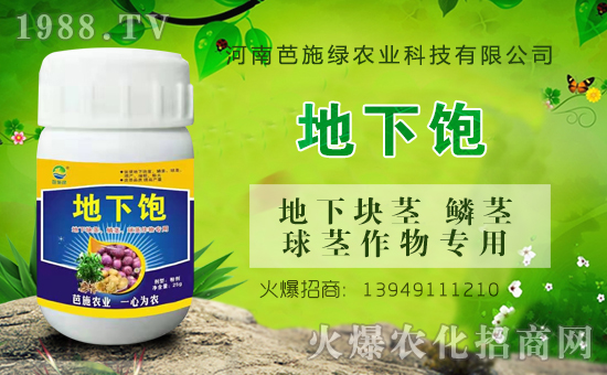戰(zhàn)略合作再升級(jí),河南芭施綠農(nóng)業(yè)攜手1988.TV再創(chuàng)輝煌!