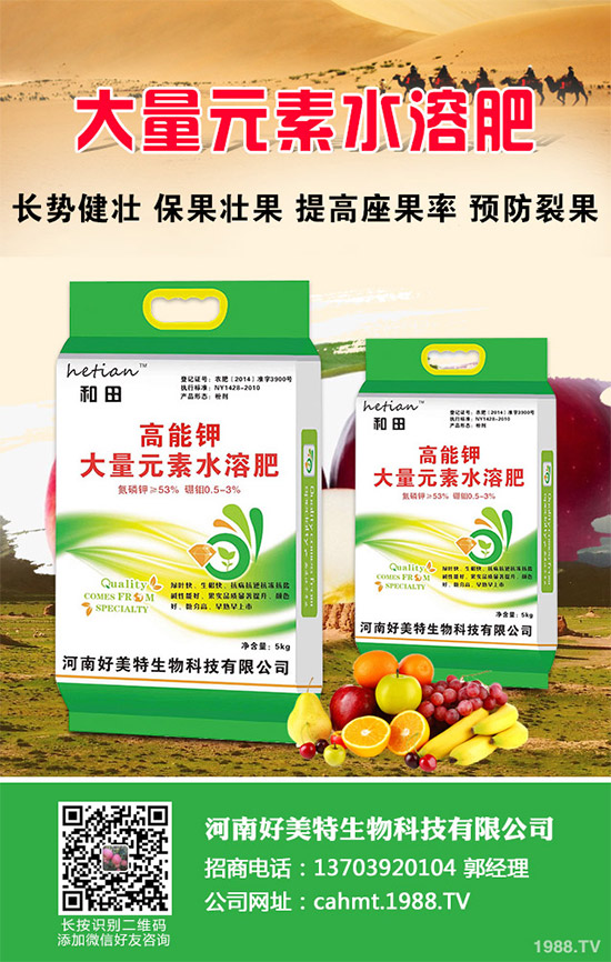 細香蔥如何種植才能高產(chǎn)?需要注意什么?這五個小技巧分享一下!