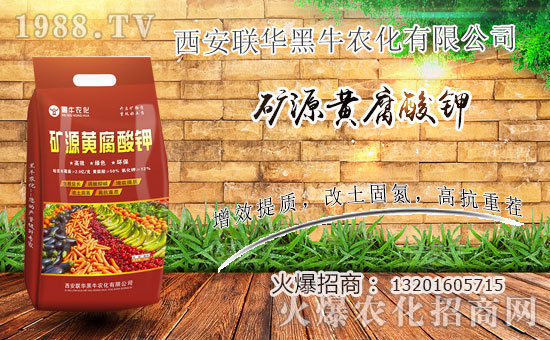 喜報!1988.TV喜迎新盟友!聯(lián)華黑牛強(qiáng)勢來襲!