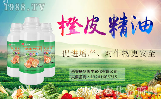 喜報!1988.TV喜迎新盟友!聯(lián)華黑牛強(qiáng)勢來襲!