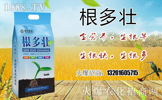 喜報!1988.TV喜迎新盟友!聯(lián)華黑牛強(qiáng)勢來襲!