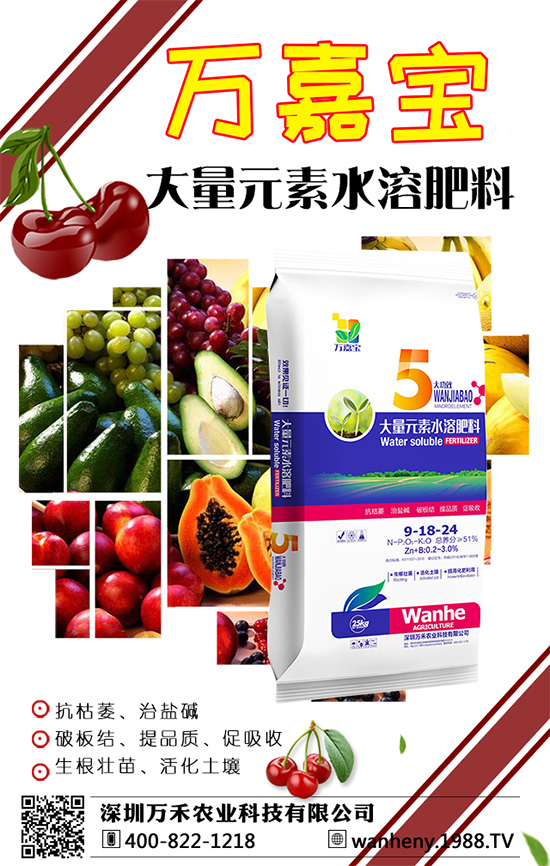 深圳萬禾農(nóng)業(yè)再度攜手1988.TV,打造網(wǎng)絡招商奇跡!