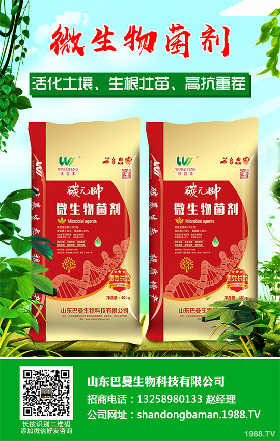 春花生播種后爛種是啥原因?該如何預(yù)防?農(nóng)民們必看的增產(chǎn)高產(chǎn)方案!