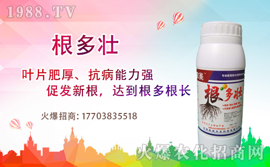 1988.TV喜迎新盟友,河南新超開啟網(wǎng)絡(luò)招商新征程!