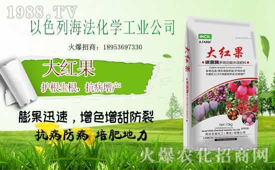 以色列海法再簽火爆農(nóng)化網(wǎng),重拳出擊農(nóng)資網(wǎng)絡(luò)市場!