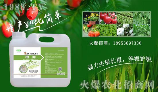以色列海法再簽火爆農(nóng)化網(wǎng),重拳出擊農(nóng)資網(wǎng)絡(luò)市場!