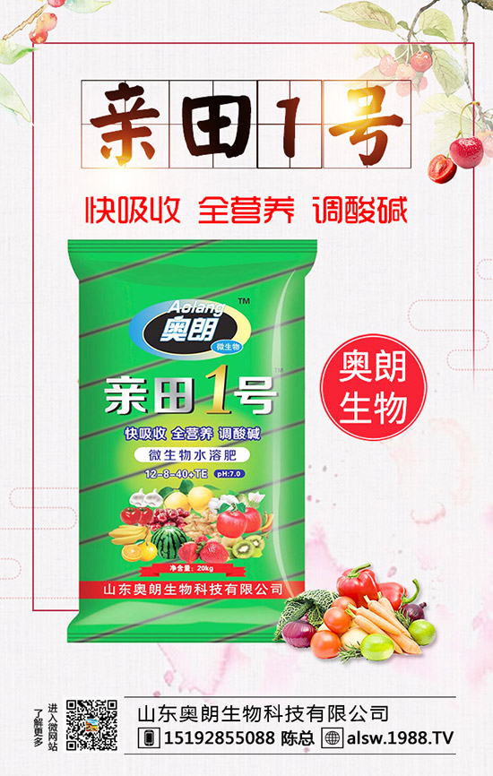 蘆筍種子處理及育苗技術,蘆筍定植后要如何管理?