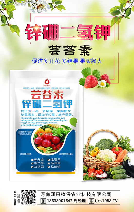 莧菜什么時(shí)間栽種?莧菜種植技術(shù)要點(diǎn)!