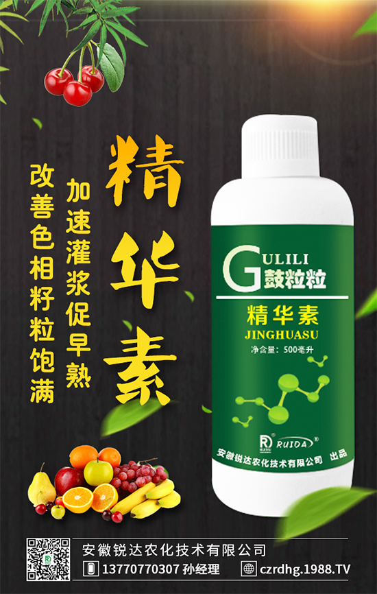 槐花有什么營(yíng)養(yǎng)功效?吃槐花有什么好處?
