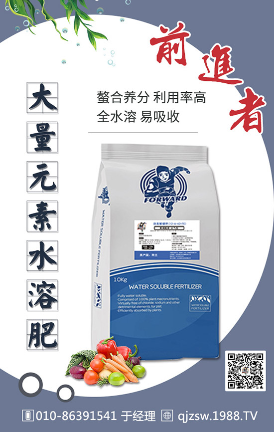 柑橘肥害有哪些癥狀,如何預防補救柑橘肥害司