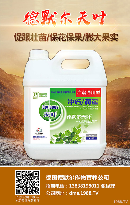 長壽花怎么施肥,學會這幾招,輕輕松松開滿盆!
