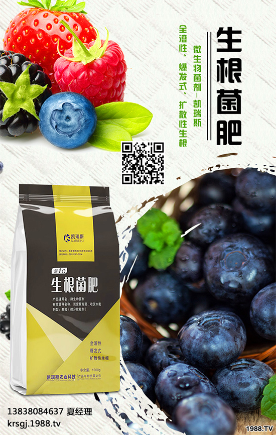 油茶屬茶科,常綠小喬木。茶油色清味香,營(yíng)養(yǎng)豐富,耐貯藏,是優(yōu)質(zhì)食用油 ;也可作為潤(rùn)滑油、防銹油用于工業(yè)。近年來(lái)我國(guó)各地油茶產(chǎn)區(qū)政府紛紛鼓勵(lì)種植油茶。那么,油茶種植到底有哪些優(yōu)勢(shì)呢?