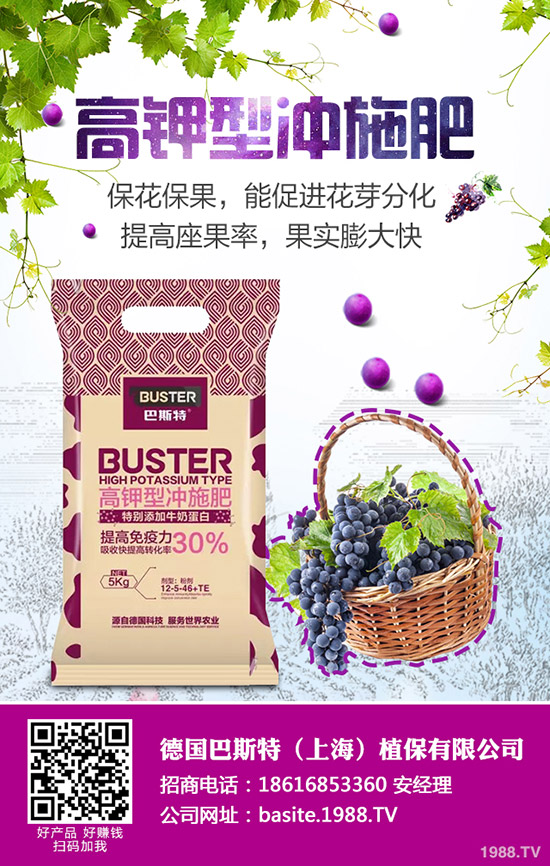 根外施肥效率高,掌握方法很重要!水稻根外追肥技術(shù)