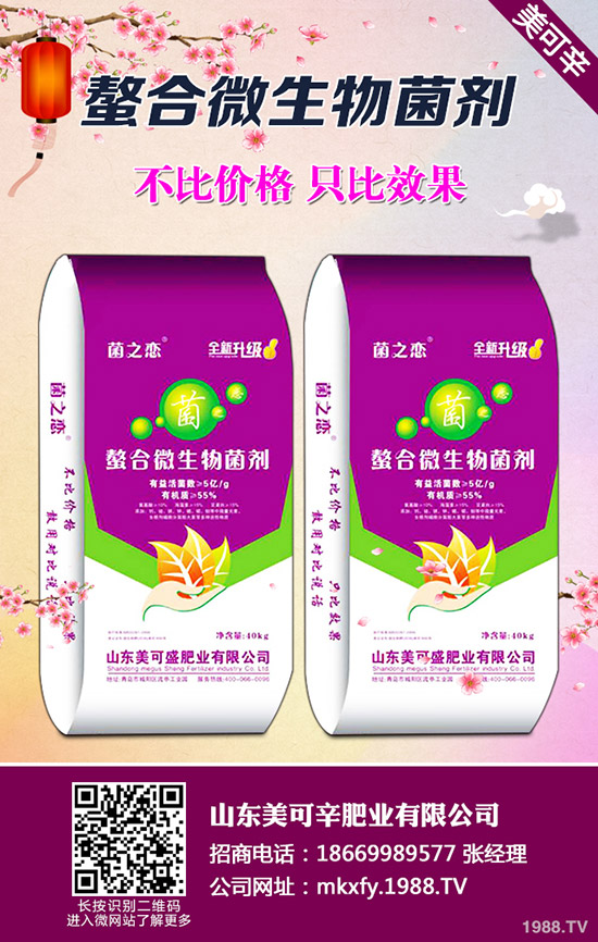 夏天葡萄樹如何管理?葡萄樹修剪、肥水管理和病蟲害防治三大管理技術!