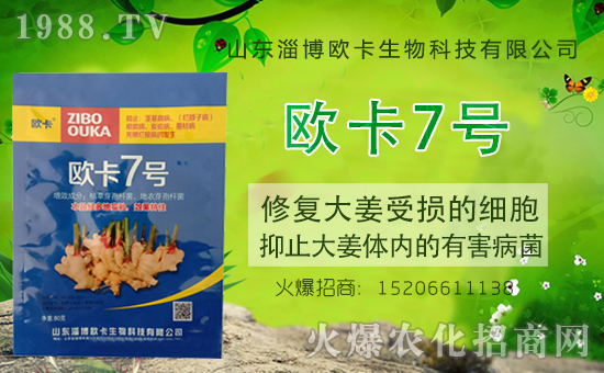 合作關系再升華!山東淄博歐卡生物續(xù)約1988.TV,共謀合作新發(fā)展!