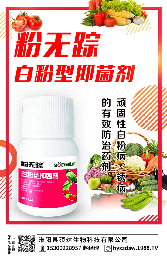 板栗怎么種植?板栗種植技術(shù)要點(diǎn)!