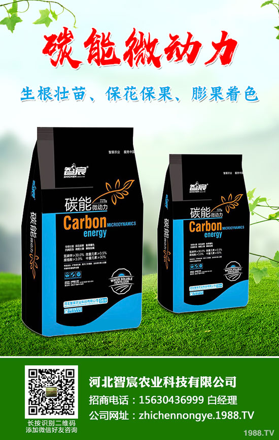 5月國內(nèi)磷肥市場何去何從?最新一銨二銨價格行情走勢預(yù)測!