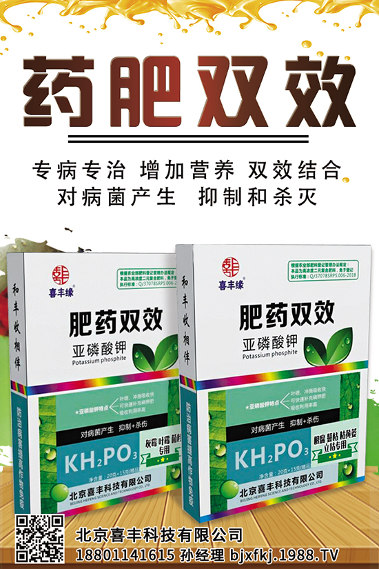 花生畝產(chǎn)千斤難不難?花生畝產(chǎn)量是多少?花生種植注意事項(xiàng)!