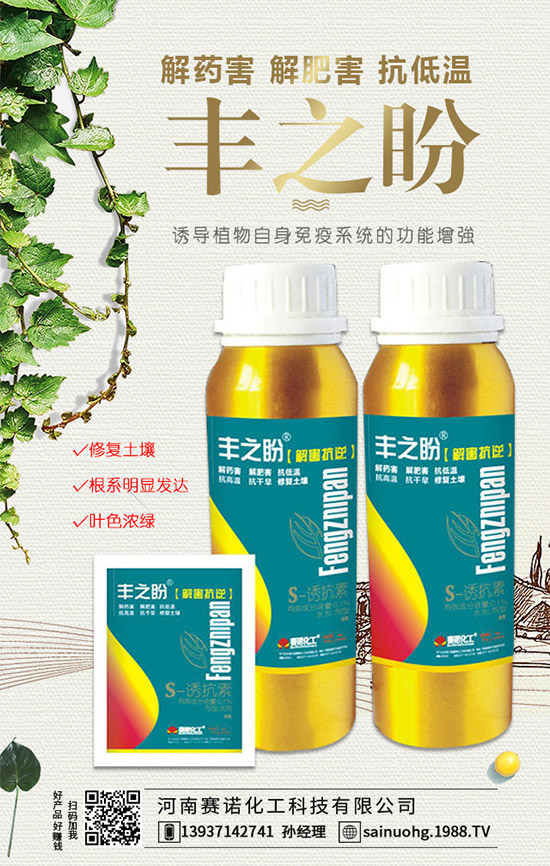 白掌的葉子為什么耷拉著?水培白掌怎么做?