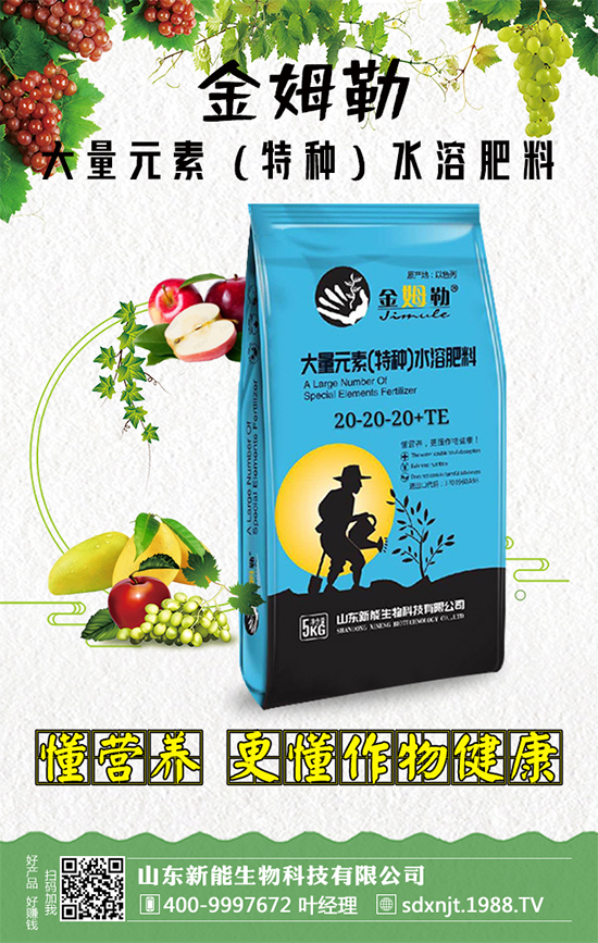 合作共謀發(fā)展,山東新能再簽1988.TV開創(chuàng)新輝煌!