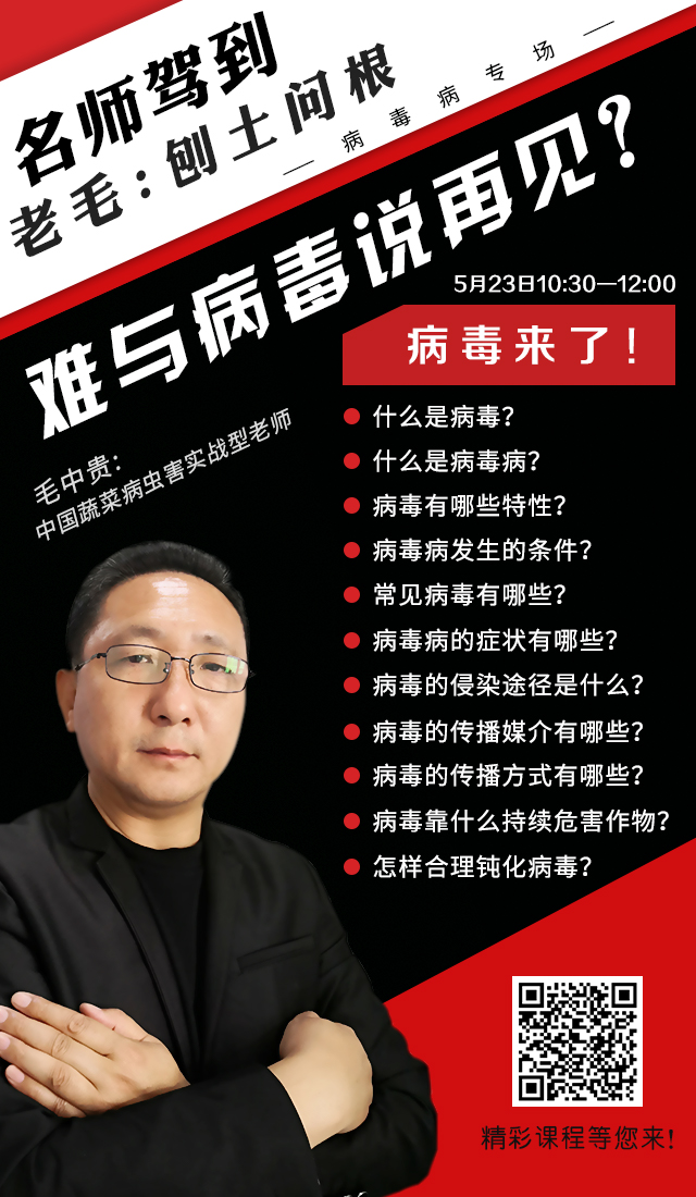 毛5