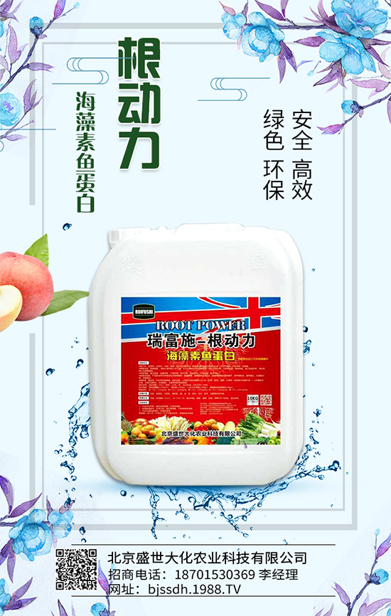 荔枝生長環(huán)境要求,荔枝苗嫁接方法及施肥原則!
