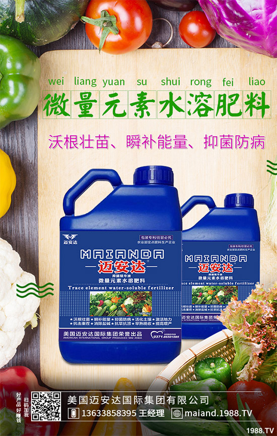 蒲公英育苗措施怎么做?蒲公英生長特點及適宜環(huán)境!
