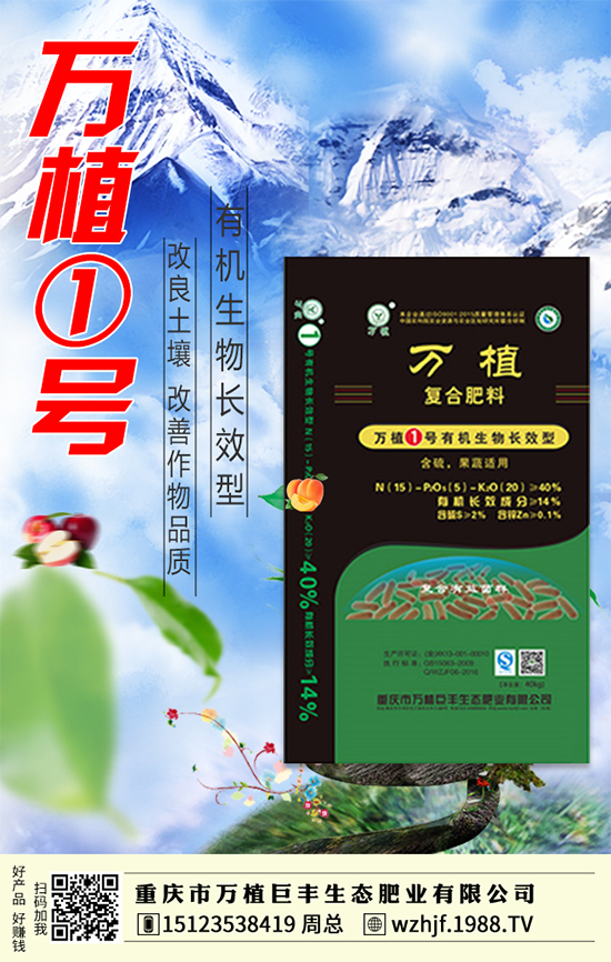 戰(zhàn)略合作再升級(jí),萬植巨豐攜手1988.TV再創(chuàng)輝煌!