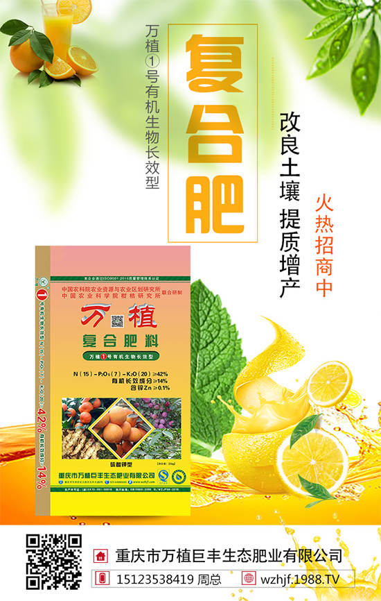 戰(zhàn)略合作再升級(jí),萬植巨豐攜手1988.TV再創(chuàng)輝煌!