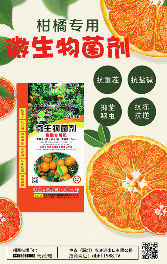 2020山藥價格多少錢一斤?種植前景如何?山藥種植高產管理技術!