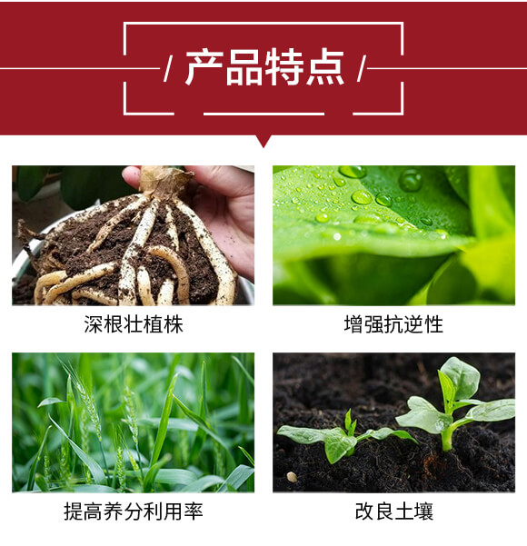 生根王-格蘭富_04
