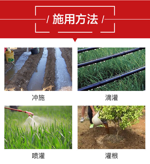 魚(yú)力肽-格蘭富_05