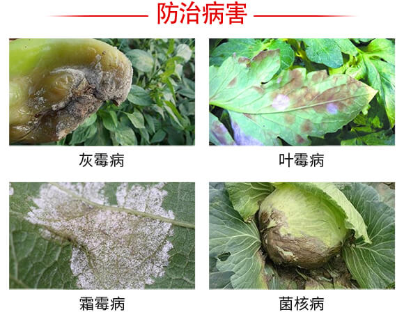 灰飛霜絕-強農(nóng)生物_03