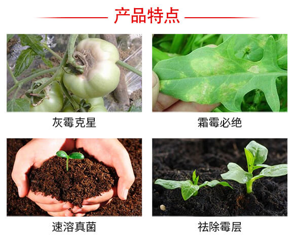 灰飛霜絕-強農(nóng)生物_04