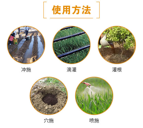 黑金-日正農業(yè)_06